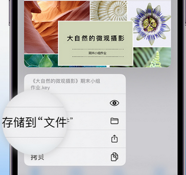 无锡apple维修中心分享iPhone文件应用中存储和找到下载文件