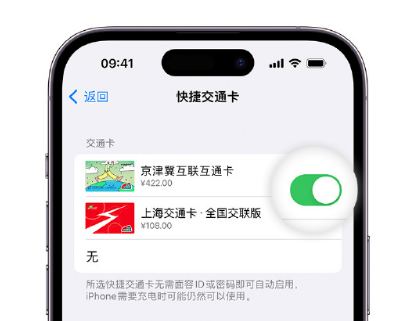 无锡apple维修点分享iPhone上更换Apple Pay快捷交通卡手绘卡面 