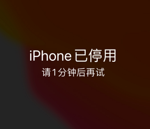 无锡苹果手机维修分享:iPhone 显示“不可用”或“已停用”怎么办？还能保留数据吗？ 