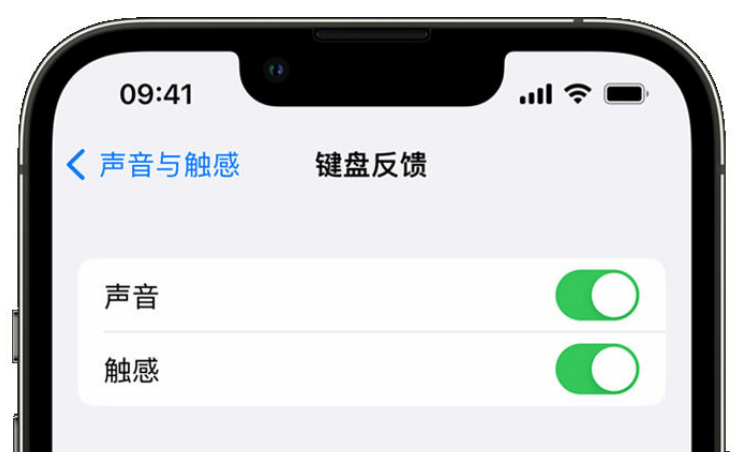 无锡苹果手机维修分享iPhone 14触感键盘使用方法 