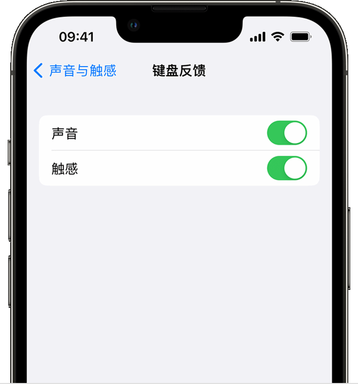 无锡苹果14维修店分享如何在 iPhone 14 机型中使用触感键盘 