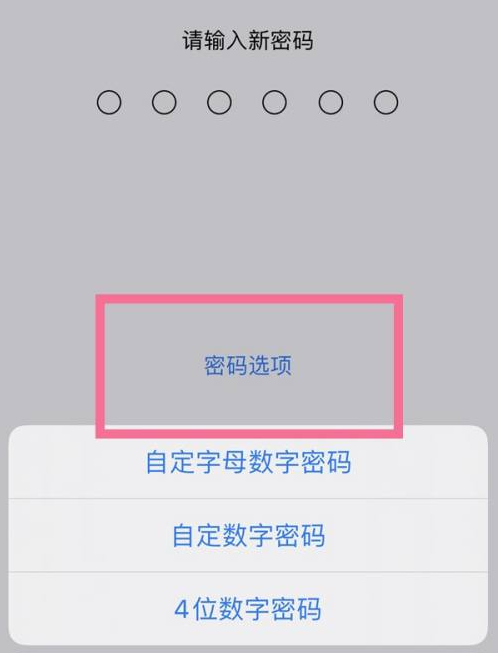 无锡苹果14维修分享iPhone 14plus设置密码的方法 