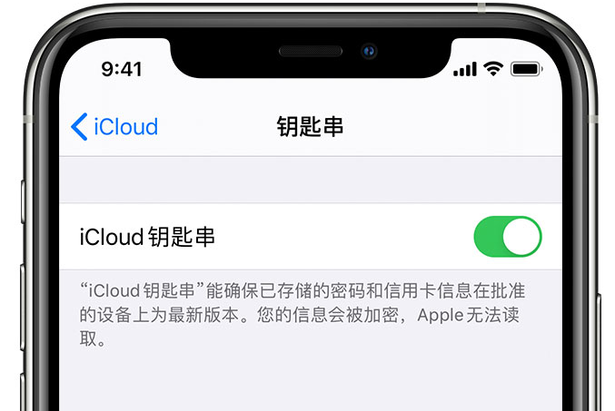 无锡苹果手机维修分享在 iPhone 上开启 iCloud 钥匙串之后会储存哪些信息 