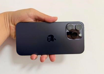 无锡苹果维修点分享iPhone 14 Pro Max黑屏少见故障盘点 